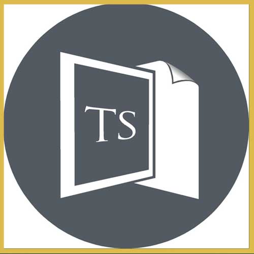 ts window films